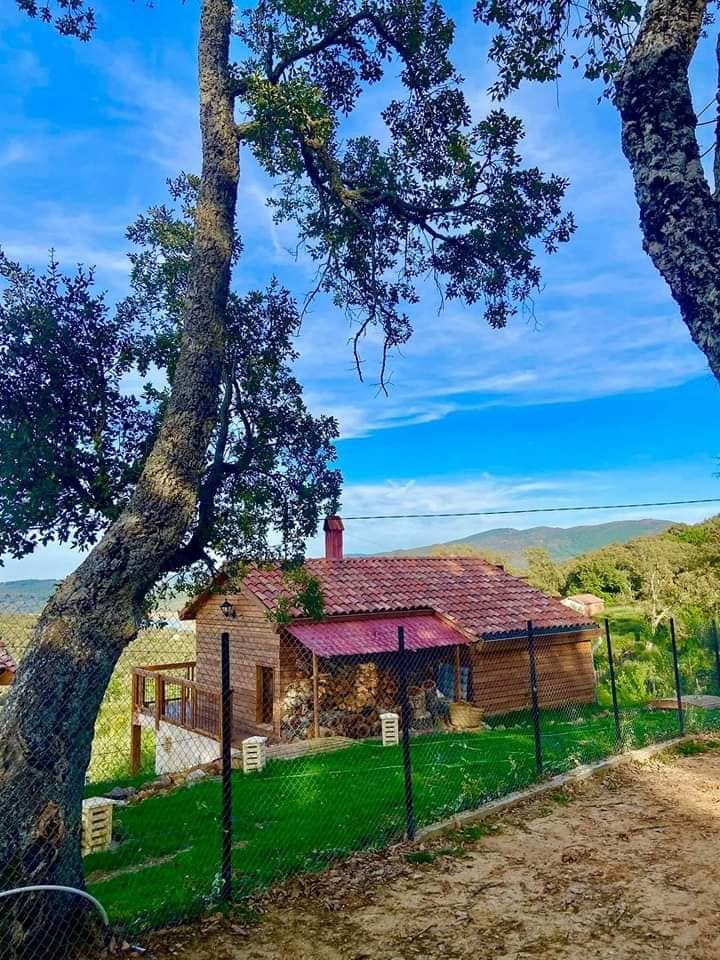 Photo du chalet et de son environnement