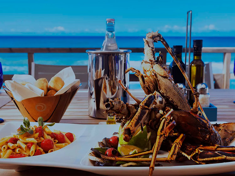 HOTEL LA CIGALE - Tabarka | Une expérience exceptionnelle à vivre